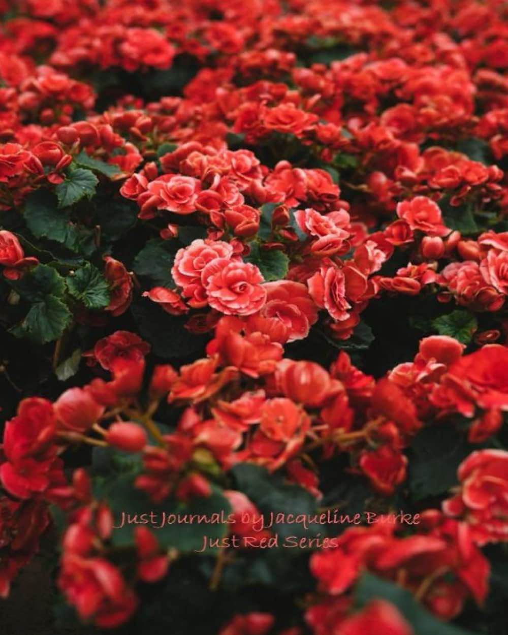 Just Journals by Jacqueline Burke - Just Red Series - Journal 32