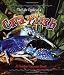 Crayfish (Life Cycle of A...(Paperback))