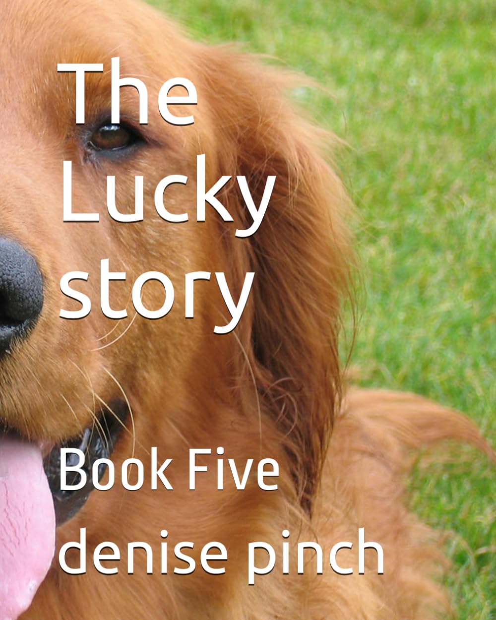 The Lucky story: Book Five