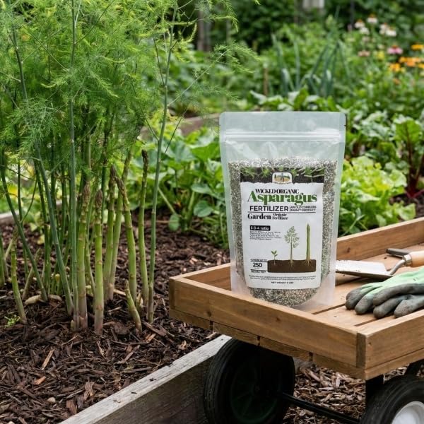 Old Cobblers Farm™ Wicked Organics Organic Asparagus Fertilizer - All-Natural Plant Nutrients for Healthy Growth (5lbs/10lbs/15lbs/20lbs) (5 lb)