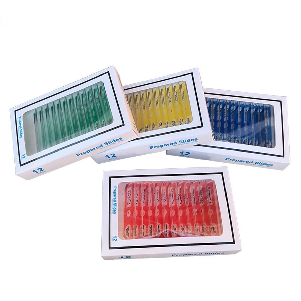 4 Vasetti Per Colorazione Vetrini Da Microscopio - Barattoli In Plastica Con Coperchio Per Laboratorio - Foto 4