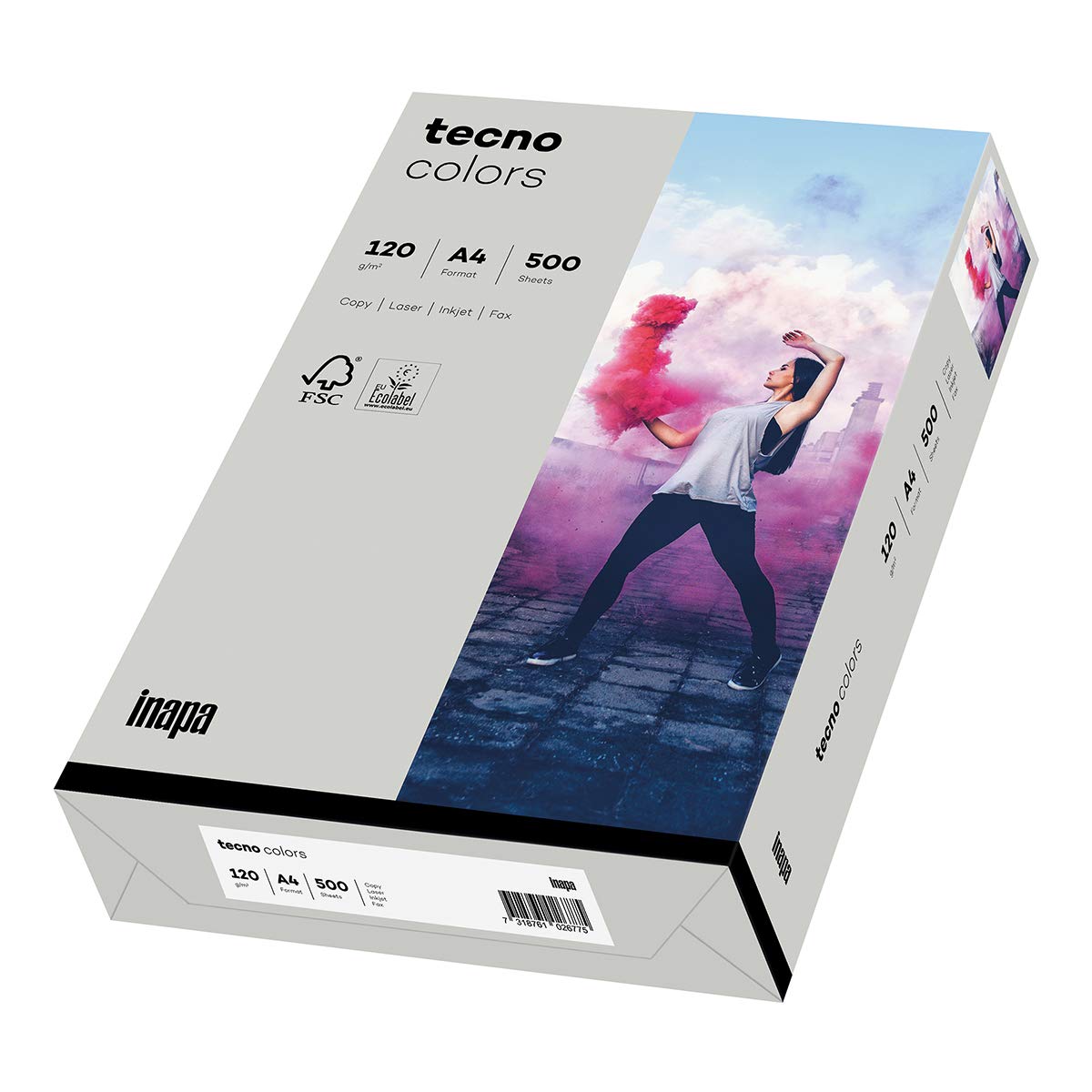 inapa farbiges Druckerpapier, buntes Papier tecno Colors: 120 g/m², A4, 1.250 Blatt (5x250), grau