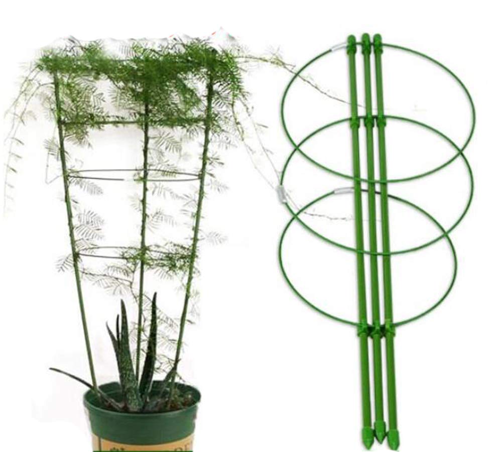 Amazon | SAEYZ 園芸支柱 支柱パーツ 観葉支柱 鉢植え 観葉支柱