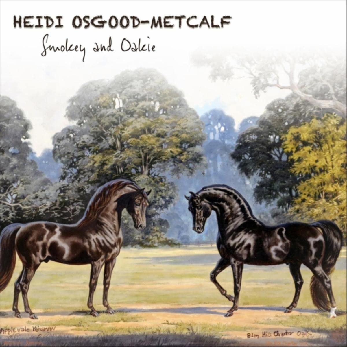 Heidi Osgood-Metcalf