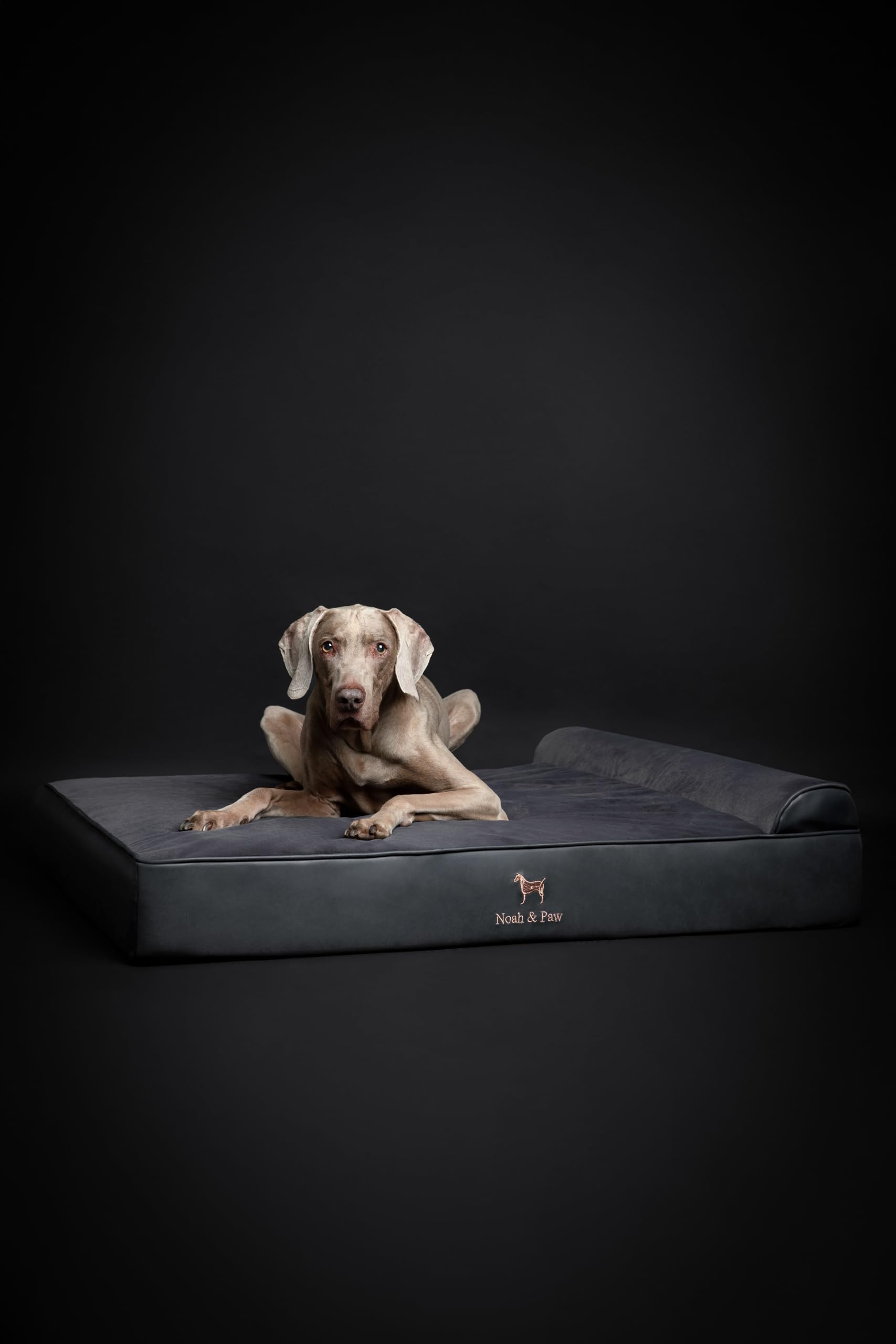 NOAH & PAW Cuccia per cani XL, 114 x 89 x 27 cm, ortopedico di grandi dimensioni, in memory foam infusa con gel rinfrescante, impermeabile, lavabile in lavatrice, include fodera interna (pelle vegana)