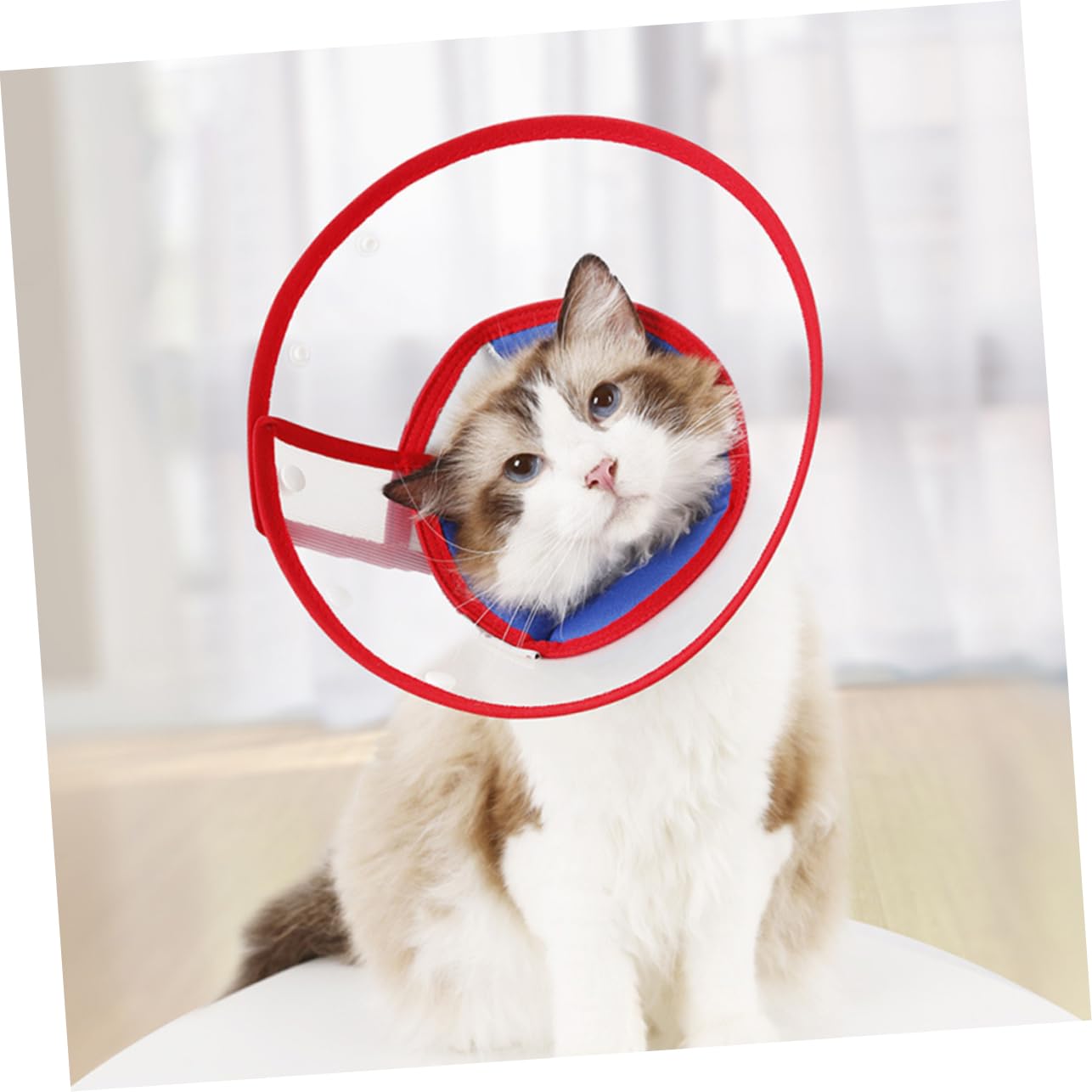 Kisangel 3stücke Einstellbarer Pet Cone Für Hunde Atmungsaktive Und Bequeme Halskrause Zur Wundheilung Verhindert Lecken Und Kratzen Transparent Geeignet Für Kleine Und Mittlere Hunde