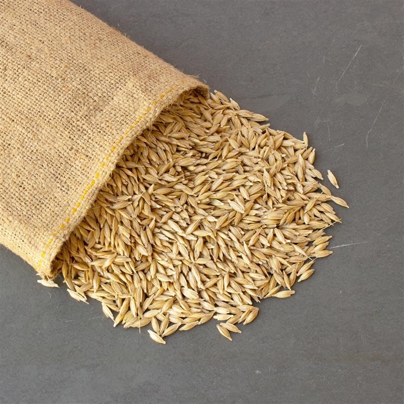 Unhulled Organic Einkorn Grain Seeds  Ancient Heirloom Wheat for Planting, Sprouting, Malting, Storage  25 lb (~280,000 Seeds)  Sustainable Seed Company