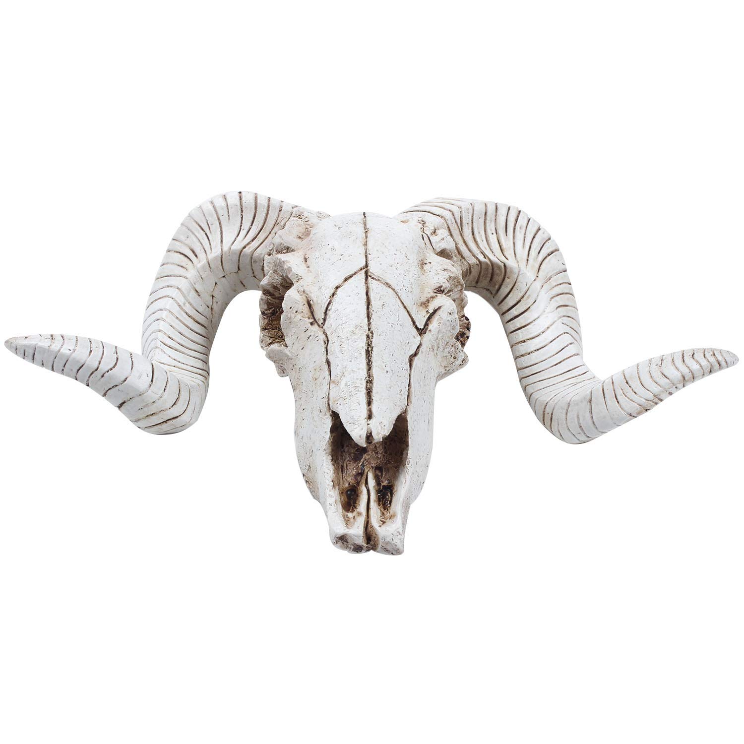 Wisboey Cabeza de Cráneo de Oveja de Resina Cabeza Colgante de Pared 3D Animal Longhorn Escultura Figuras Artesanías Cuernos Decoración para el Hogar Adornos