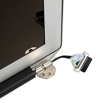 Amazon.com: SCREENSPECIALIST LCD LED Full Screen Display