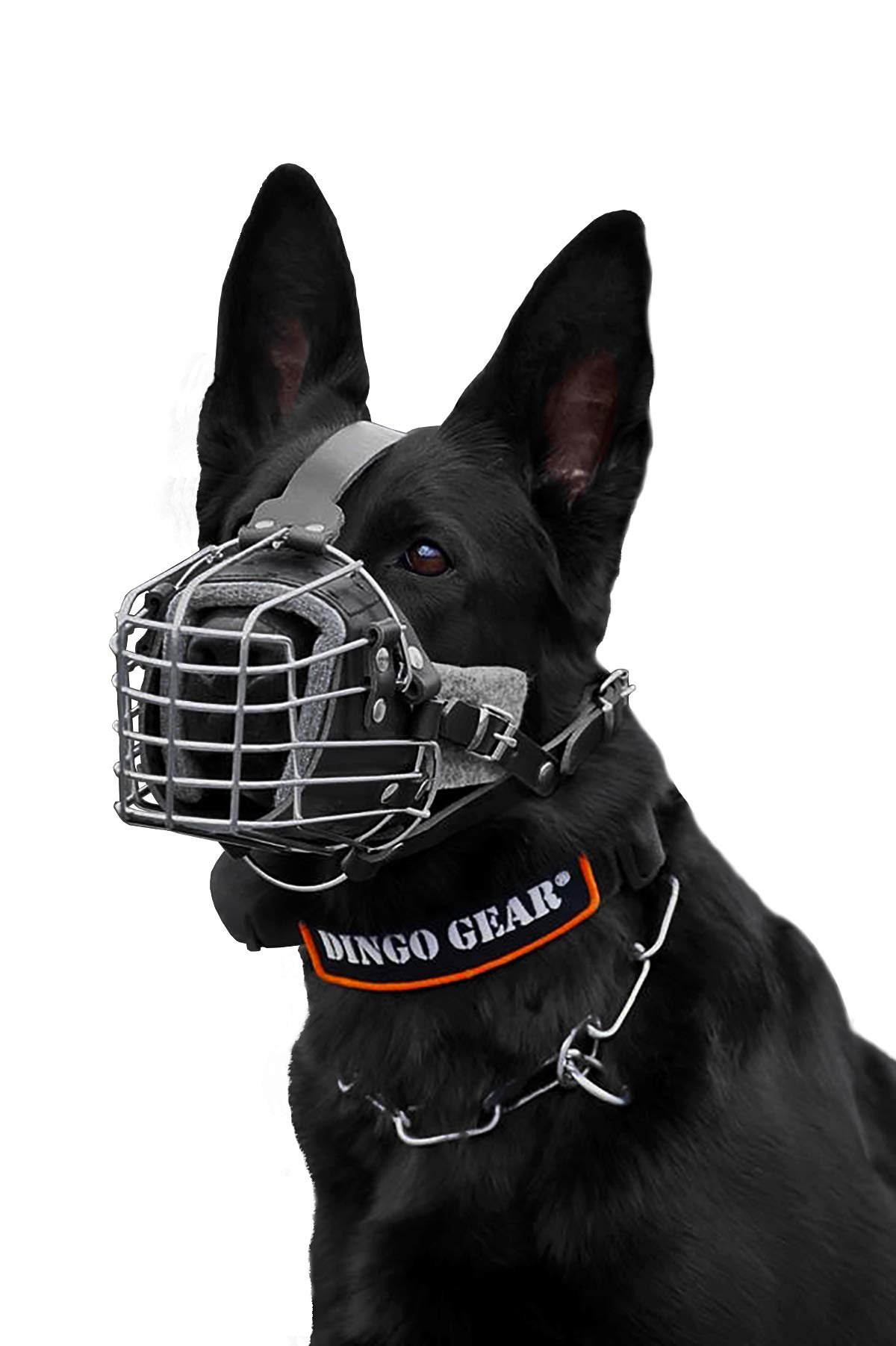 DINGO GEAR Dog Training Muzzle, Military K9 Agitation Metal Muzzle for  Working Dogs S03004