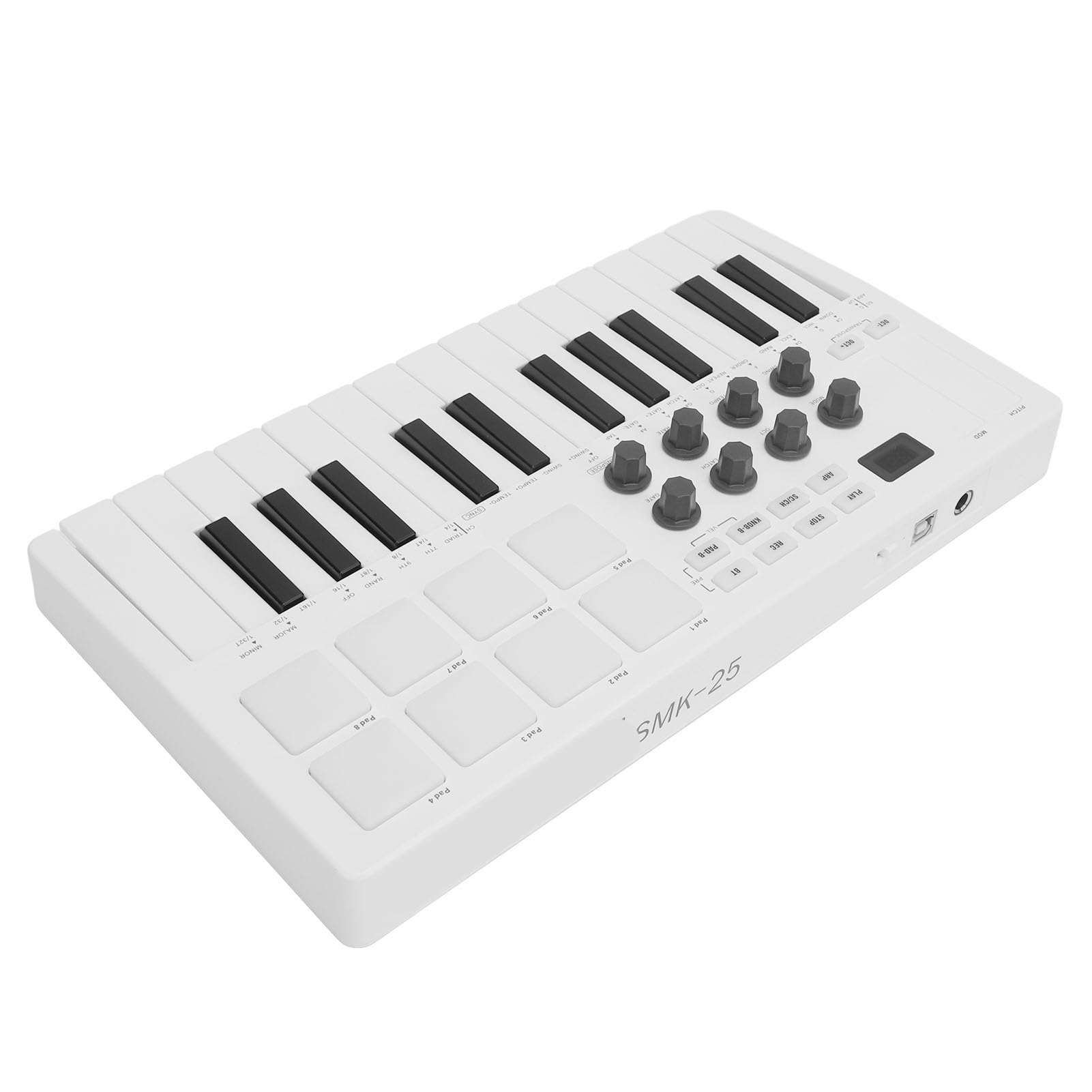 25 Force Sensitive Keys MIDI Keyboard Controller with 8 RGB Pads and Smart Chord, Compatible with Windows, OS X, iOS, Android