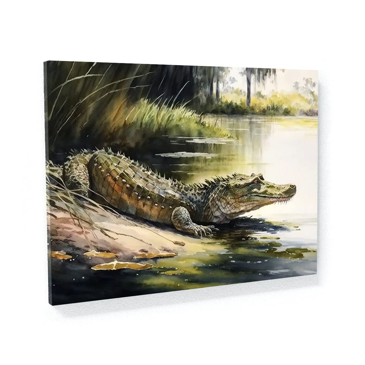 Amazon.com: Sense Canvas Alligator Basking In Sun 4 Canvas Art