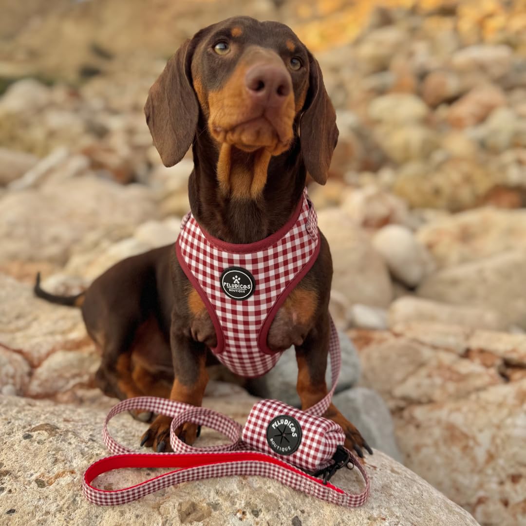 Pack Arnés,Correa y Portabolsas Granate para Perro Ajustables de Neopreno – Diseño Vichy, Cómodos y Resistentes – 5 Tallas