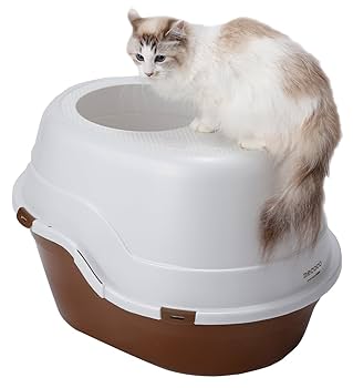 Pety 猫用トイレ ブラウン/ホワイト 楽天市場】猫 ネコトイレ キャットトイレ ペットトイレ 猫用