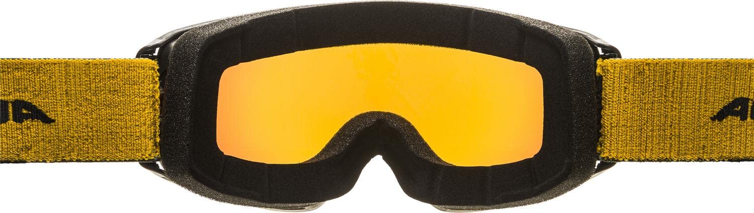 Amazon | [アルピナ] スキースノーボードゴーグル ユニセックス