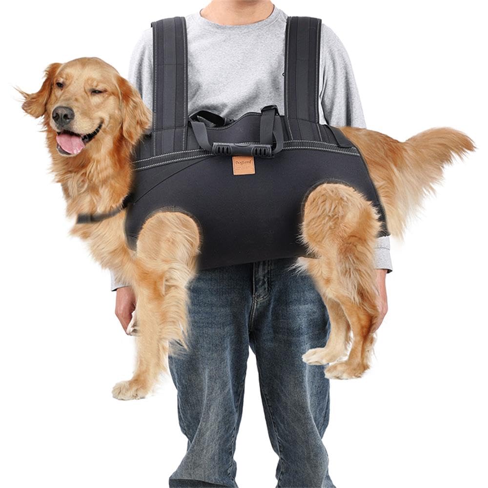 旅行かばん・小分けバッグ ROTTWEILER  Carry Big Bag Underseat Cabin Bag - ZX150 — Rooten's Travel & Adventure