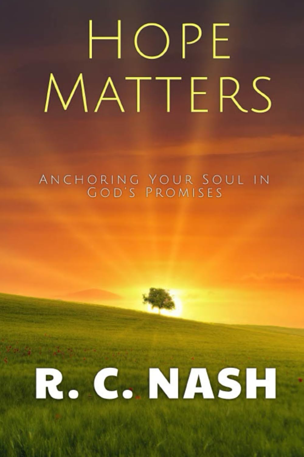 Hope Matters: Anchoring Your Soul in God’s Promises: 14 (Things Matter)