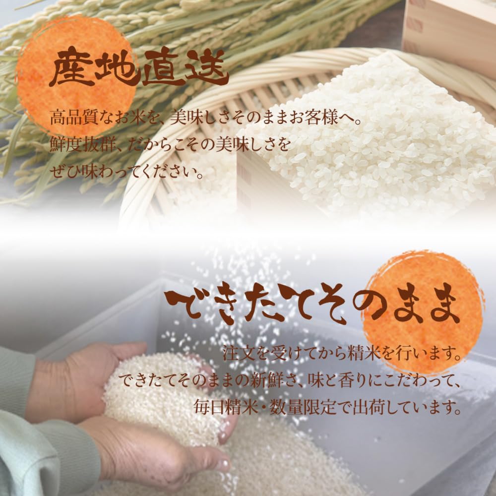 令和7年度米 きぬむすめ コシヒカリ　１０キロ Amazon.co.jp: 米 令和7年産 精米 5kg×2 10kg お米 兵庫県産 きぬ