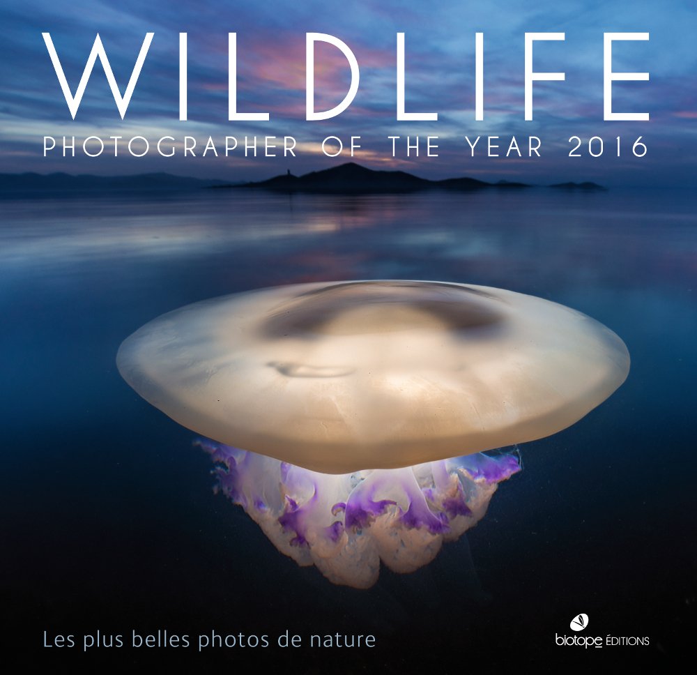 Wildlife photographer of the year 2016: Les plus belles photos de nature