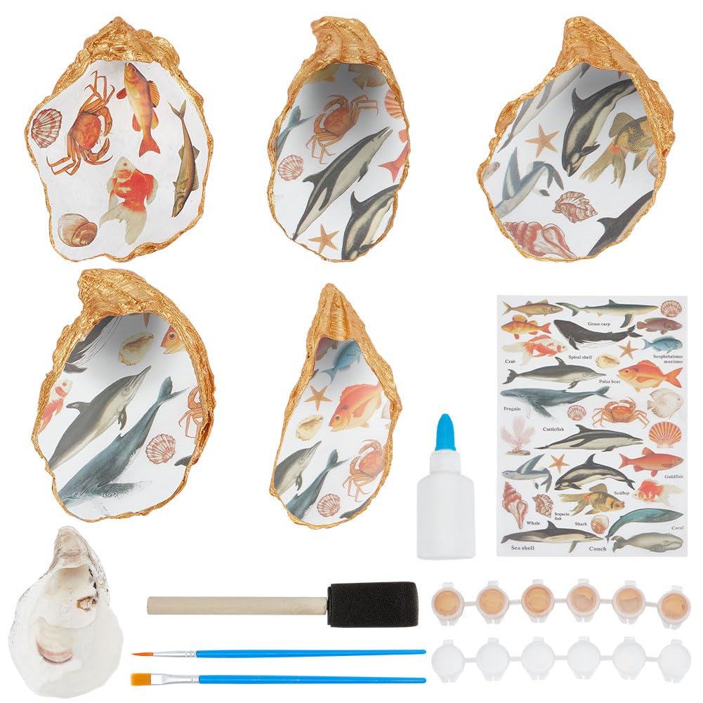 WEBEEDY 5 Ensemble De Plateaux à Bijoux En Coquillage à Faire Soi-Même