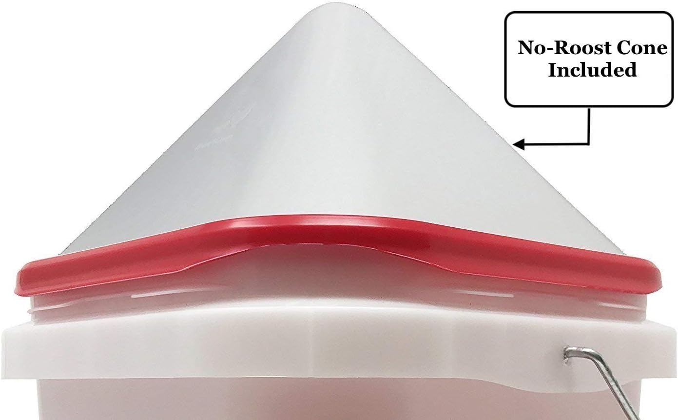 Shaxsiy Loryene porno video Eshakdagi qorqinchli ayol