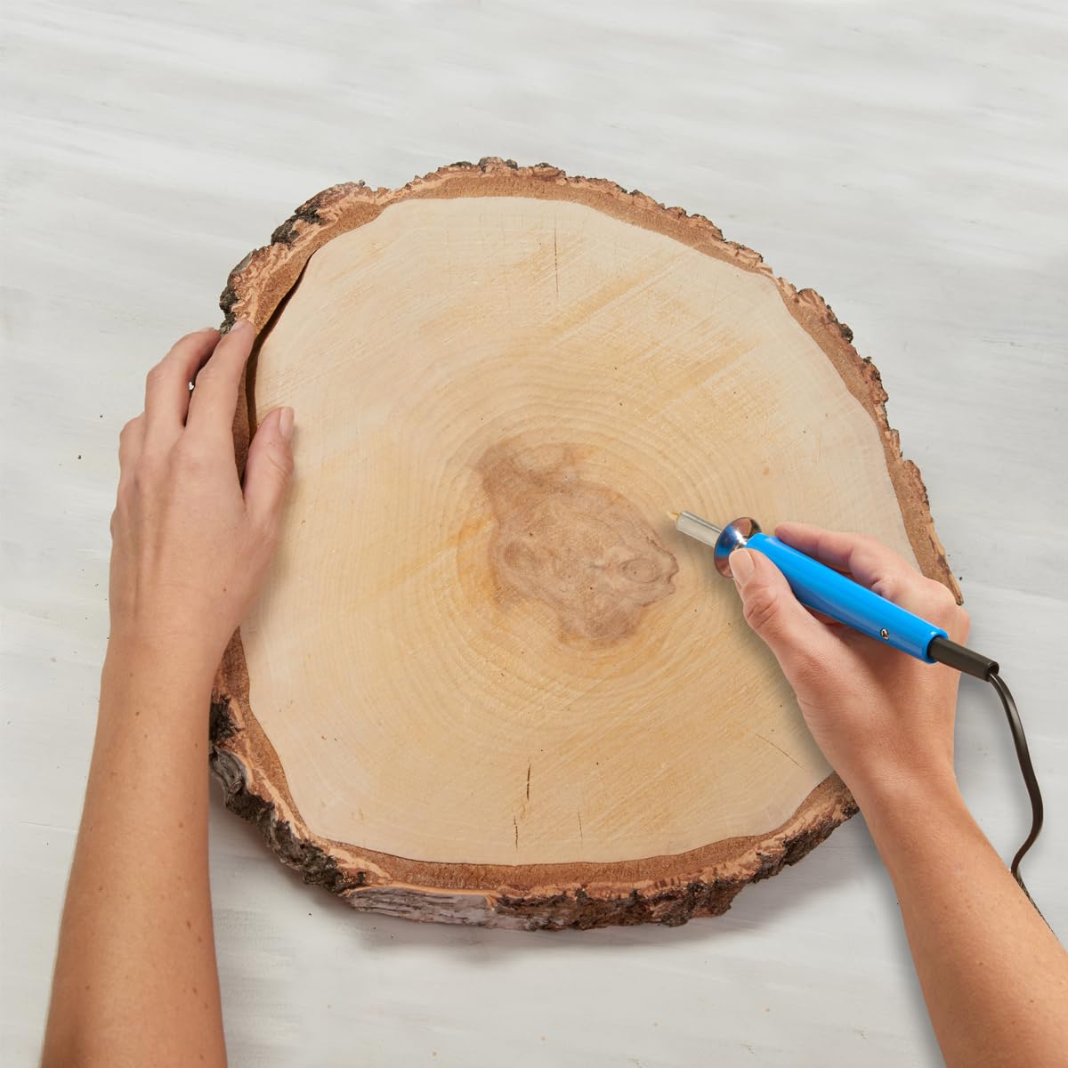 Rodajas grandes de madera de 35 cm (33-37 cm) de diámetro para manualidades y decoración DIY - Paquete de 5 rodajas redondas de madera de abedul - Rodajas naturales de madera de abedul como decoración