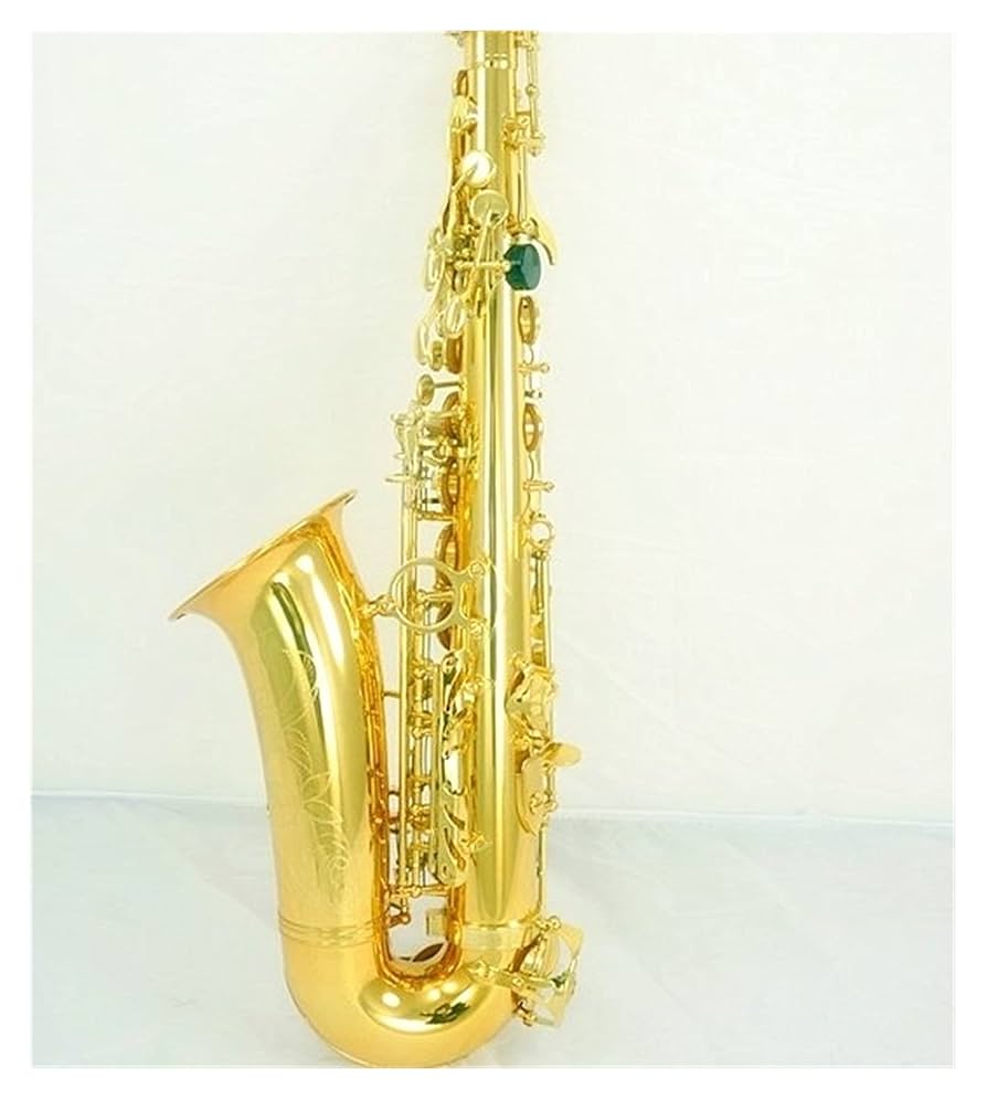 Amazon.com - Saxophone Straight EB Alto Saxophone Brass Body