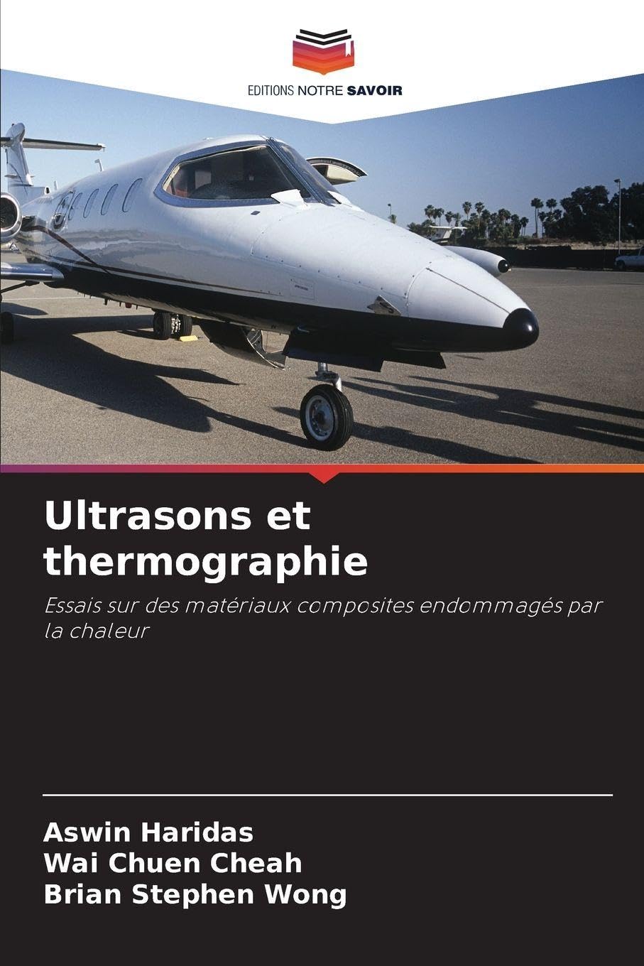 Ultrasons et thermographie: Essais sur des matériaux composites endommagés par la chaleur