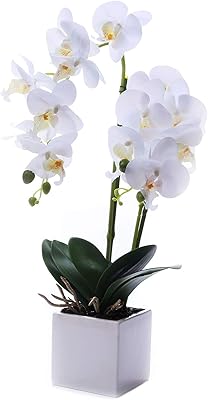 Amazon Com Gxlmii Artificial Orchid Flowers Arrangements With Vase For Kitchen Table Centerpieces Large Vivid Phalaenopsis White Orchid Faux Flowers Silk Orchids Flowers Indoor Party Wedding Room Decoration Kitchen Dining