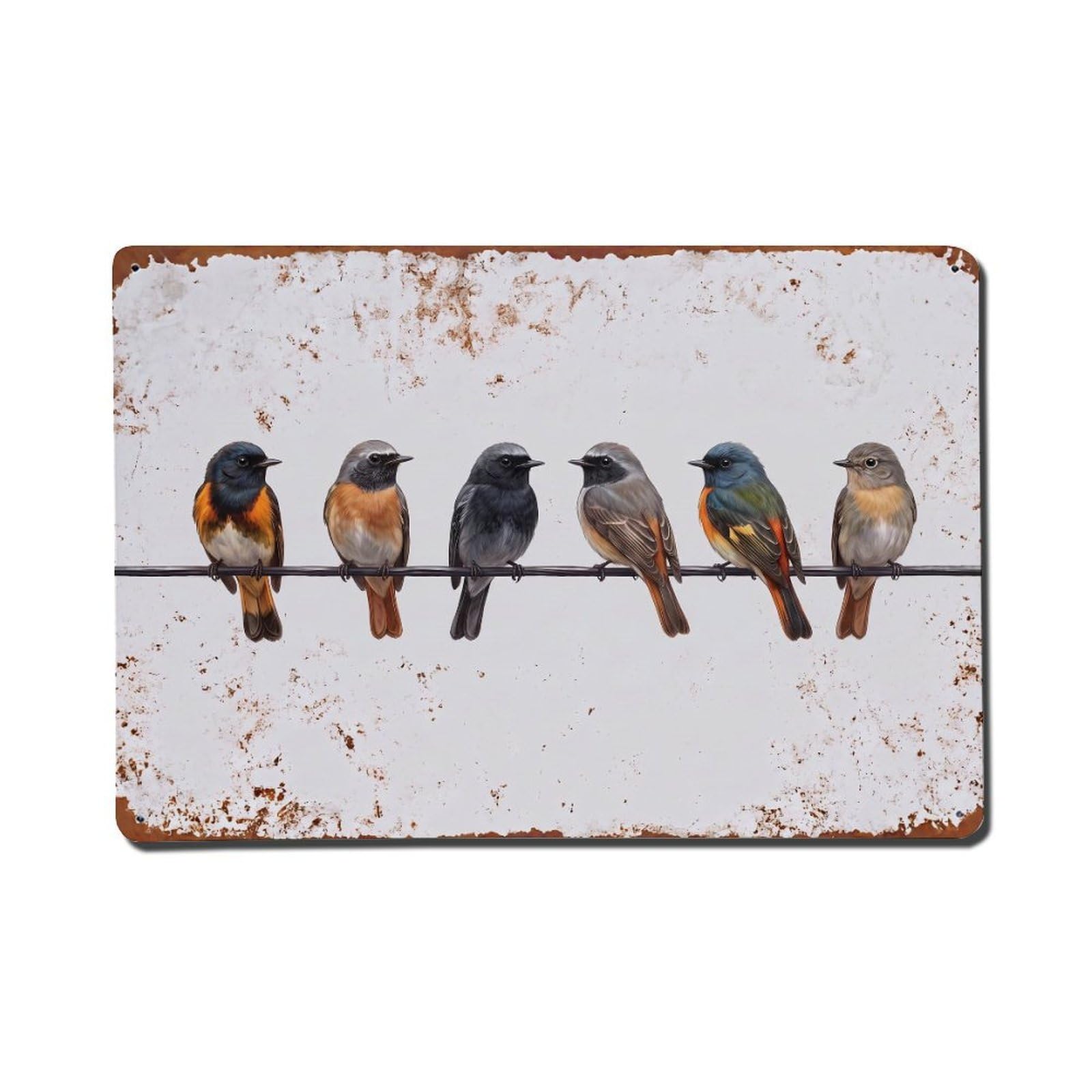 Vintage Retro Birds Redstart Metal Tin Sign