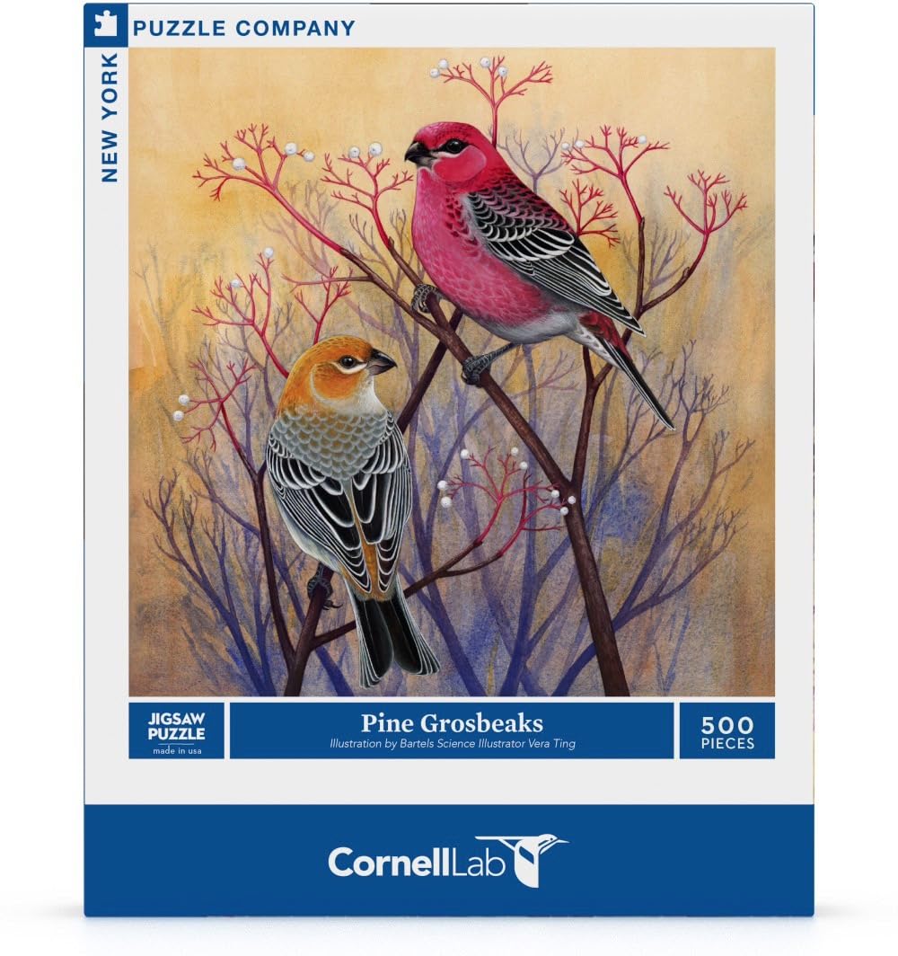 Amazon.com: New York Puzzle Company - Cornell Lab Pine Grosbeaks