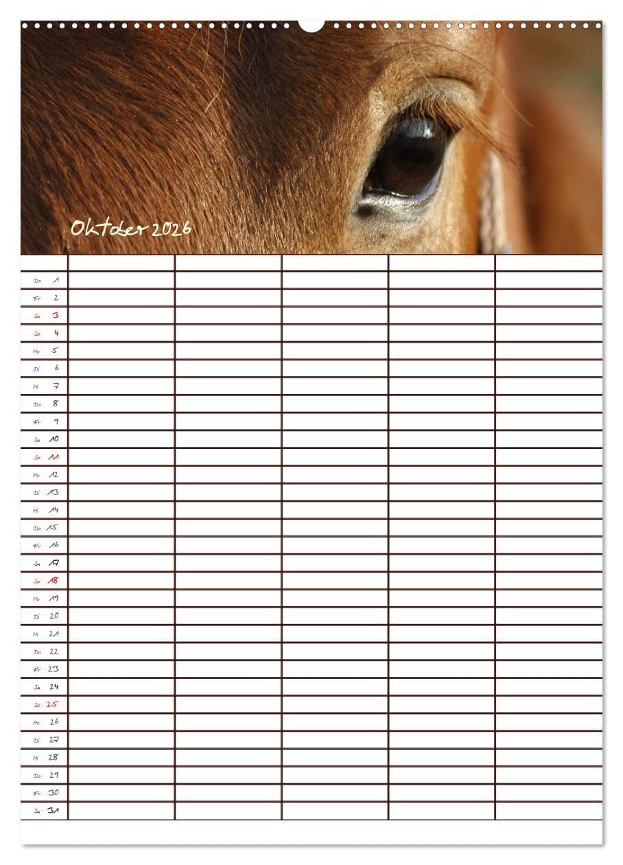 Der Kaltblut-Familienplaner (Wandkalender 2026 DIN A2 hoch), CALVENDO Monatskalender: Der Kaltblutkalender für die ganze Familie (CALVENDO Tiere)