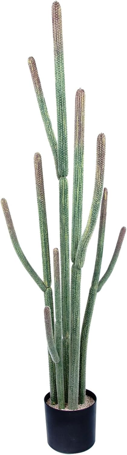 Tall UV Resistant Faux Cactus Plant?60in Realistic Texture Tall Fake Plant, Artificial Cactus Large with Black Pot Indoor Outdoor for Home Office Living Room Bedroom Foyer Porch Decor. 60 in
