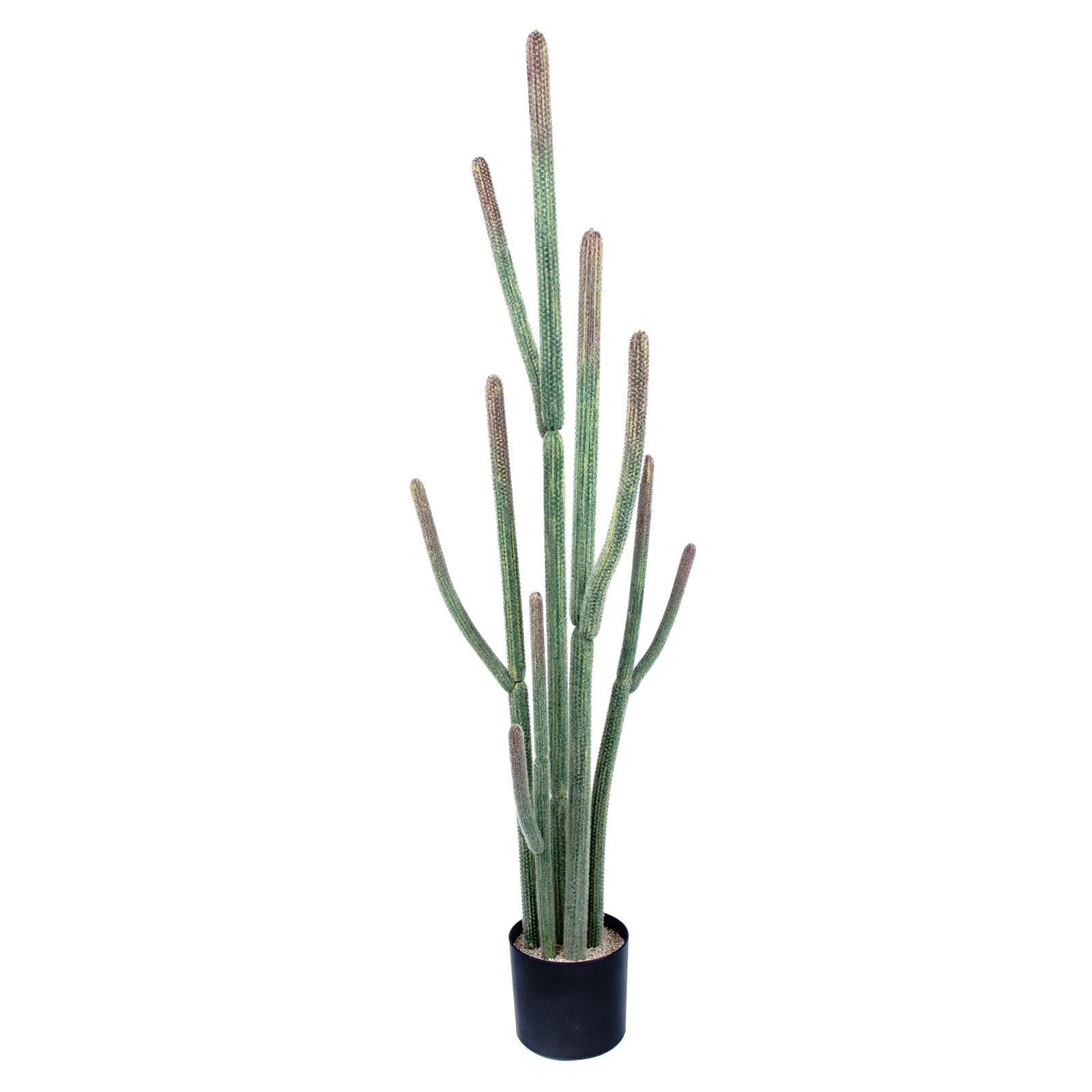 Nafresh 60-Inch UV Resistant Faux Cactus