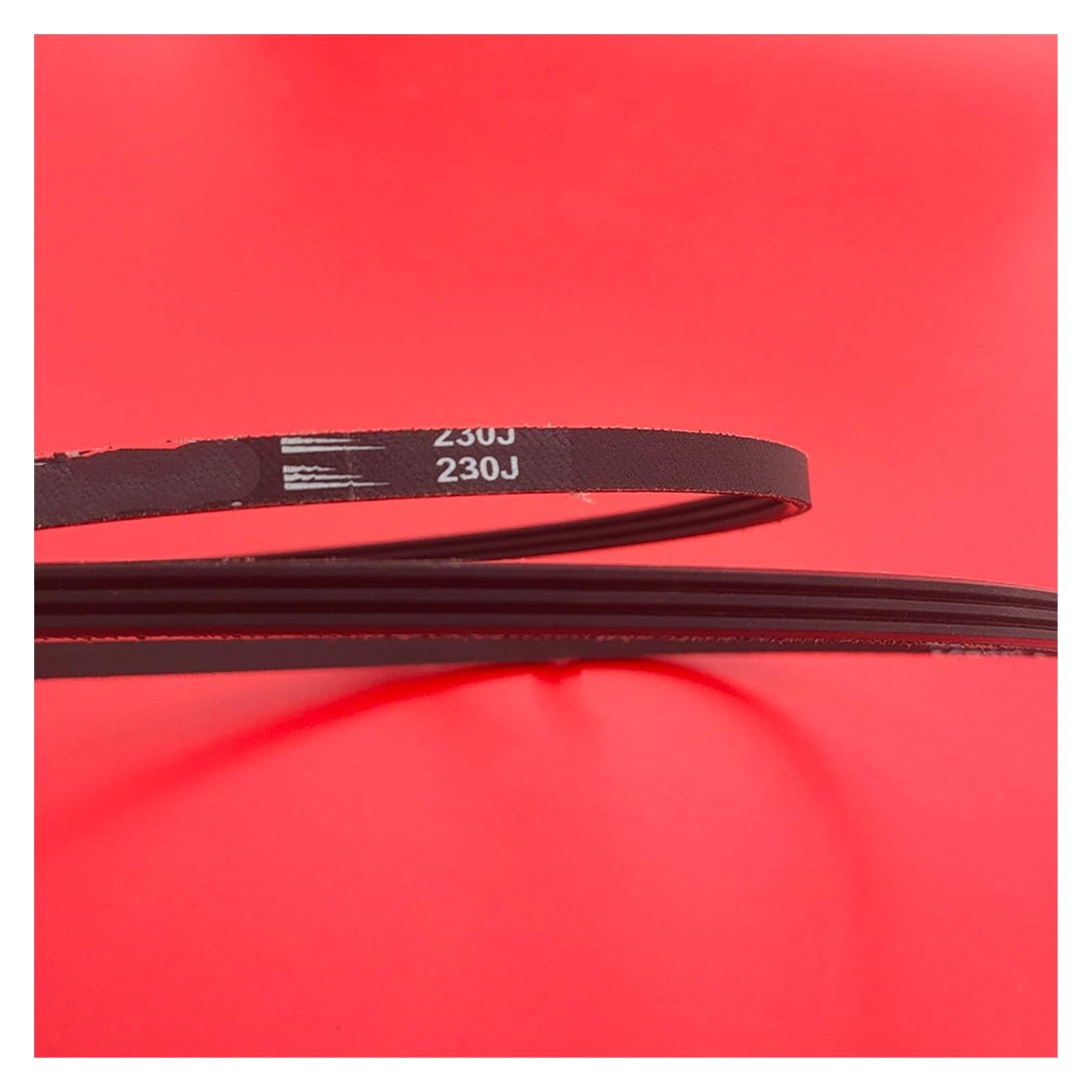 Cinghia Vega 8 Costole Cinghia Trasmissione VEGA 8PJ556 - 8 Costole, Per Tapis Roulant E Motori, In Gomma Cinghia Trasmissione Gomma