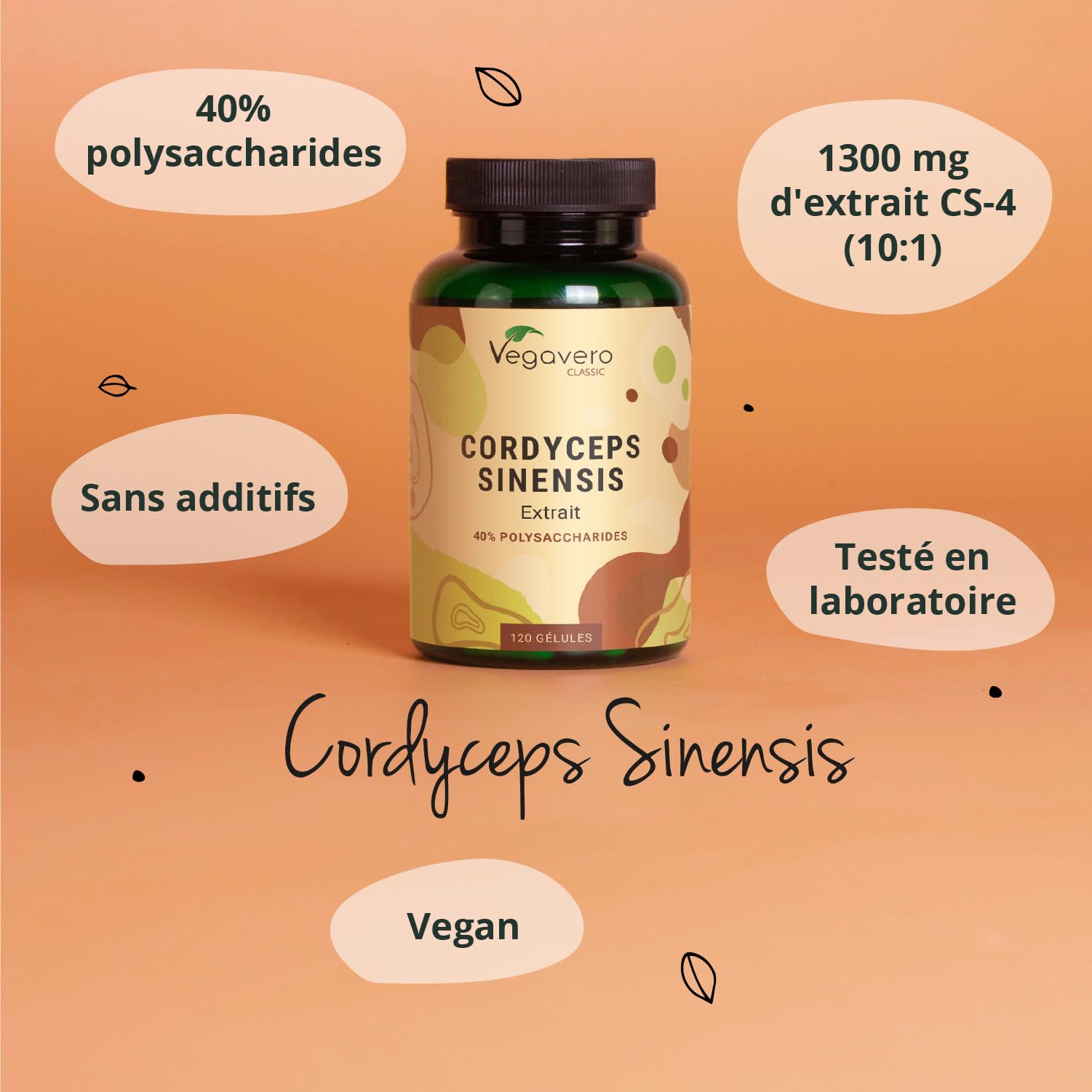 Extrait De Cordyceps 500mg - 100 Gélules Vita World - Champignon Impérial Végétalien
