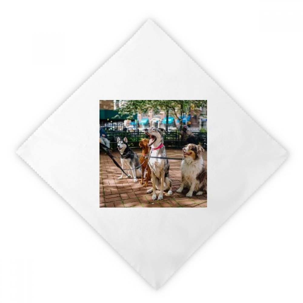 Serviette en tissu imprimé animaux pour des dîners et déjeuners animés