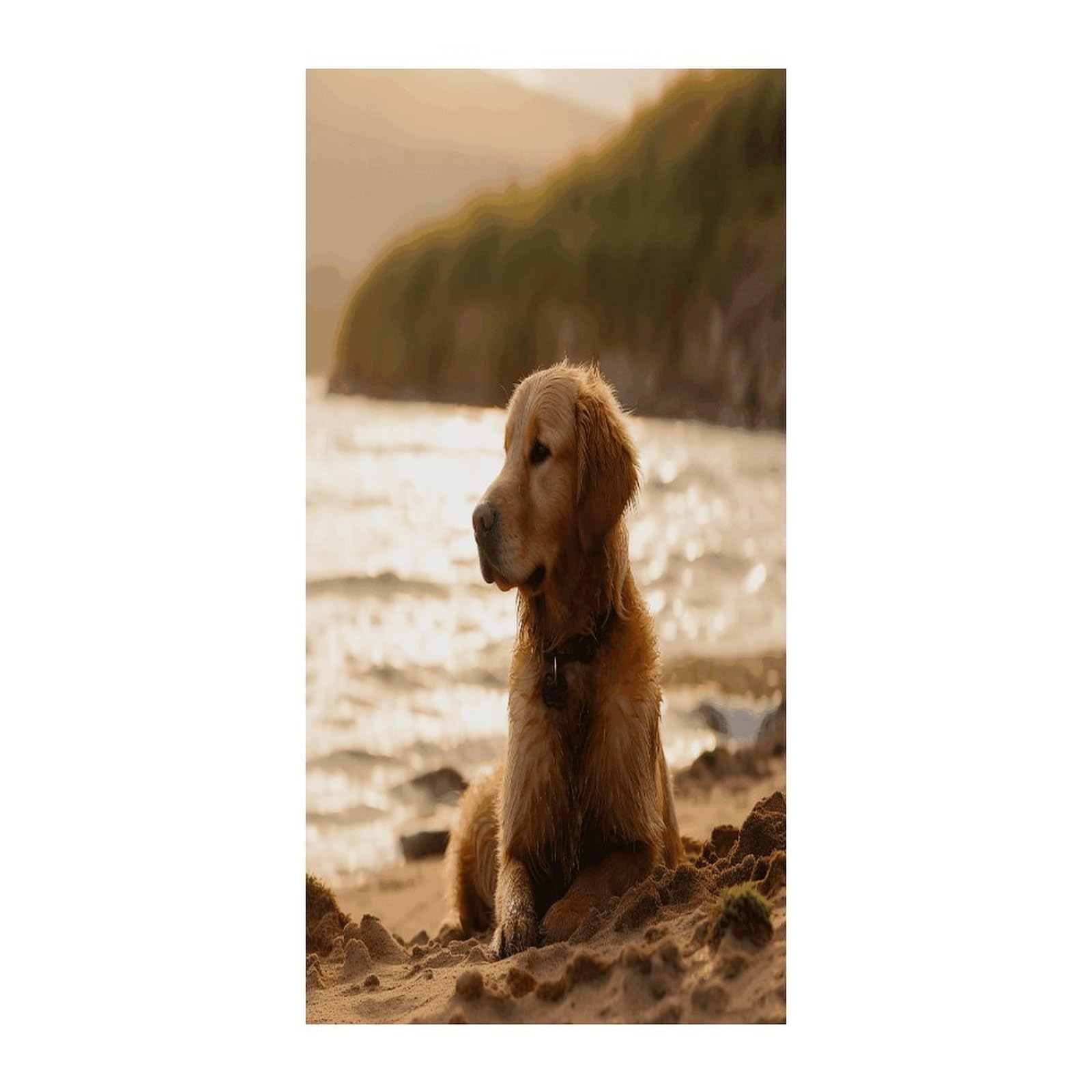 KHAUERBC Retriever Blackout Curtains for Light Filtering Doorway Curtains .Room Divider Curtain As Sliding Door/Closet/Patio。French Door Curtain 70 * 35.4 Inch for Home Decors.