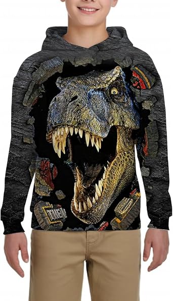 Kids Boys 3D Dinosaur Alphabet Graphic Hoodie Pullover Sweatshirt