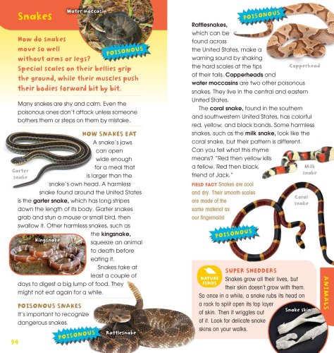 A Walk in the Woods: Into the Field Guide - Image 13