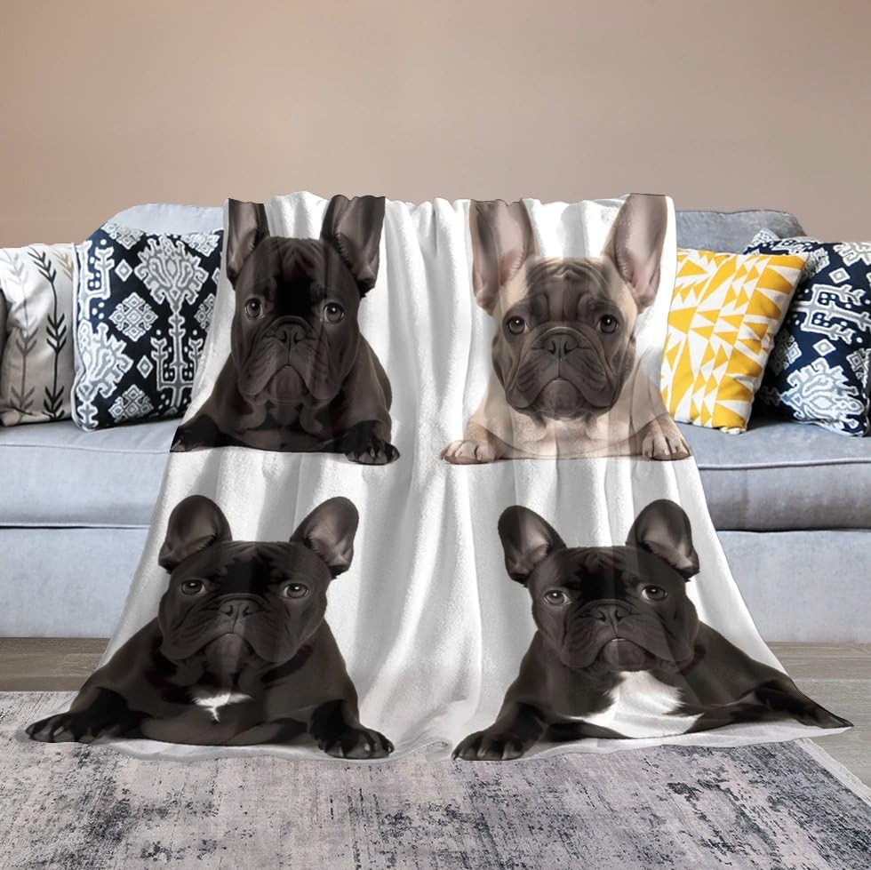 Couverture bouledogue français pour salon et soirées cocooning sur le canapé