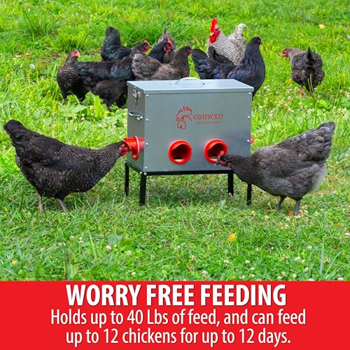 Automatic Chicken Feeder - 40 lb Capacity 6 Port Large Metal Chicken Feeders - No Waste Poultry Feeder with Locking Lid and Legs for Inside Chicken Coops