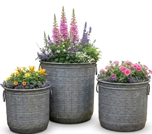 My Square Mile Rustic Galvanised Metal Planters Round Dolly Vintage Garden Pots With Handles & Riveted Details (Medium (H41 X D36Cm))