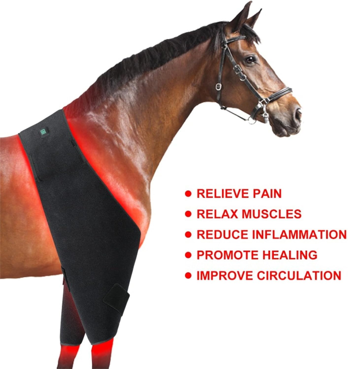 Horse Use Red Light Therapy Pad 660nm 850nm Red Infrared Belt for Horse Buttocks, Abdomen, Back, Front Legs and Hind Legs Muscle Recovery