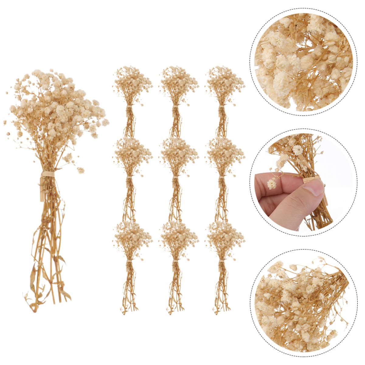 Housoutil Babysbreath Bouquet Delicati 10 Mazzi di Fiori Secchi Realistici Beige senza Manutenzione Decorazione per Tavoli e Davanzali per Casa e Caffè