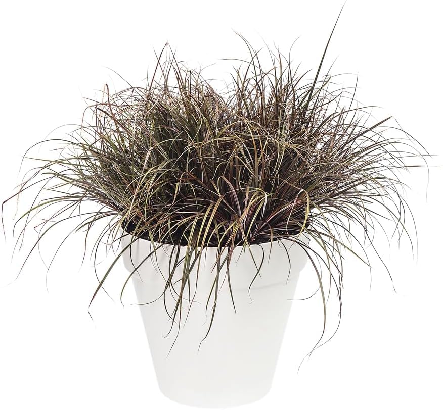 Garden Store Direct Urban Jungle Round Plant Pots - Indoor or Outdoor Use - 5 Sizes, 4 Colours - Made With Recycled Materials (White, 28 cm)