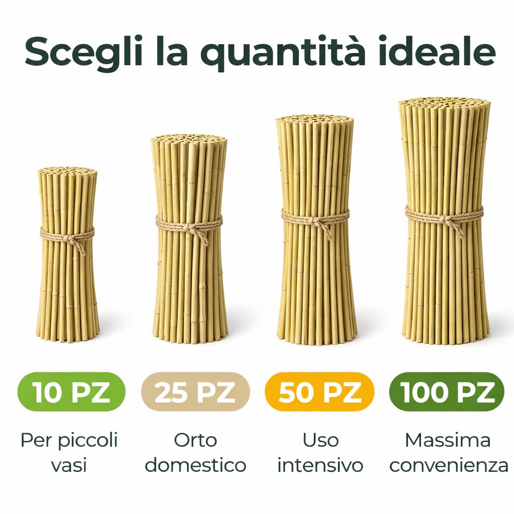 Tutori in Bambù Naturale – Pali per Pomodori, Sostegni per Piante da Interno ed Esterno – Bastoni per Orto e Giardinaggio – Lunghezze da 40 a 240 cm (10, 180, Centimetri)