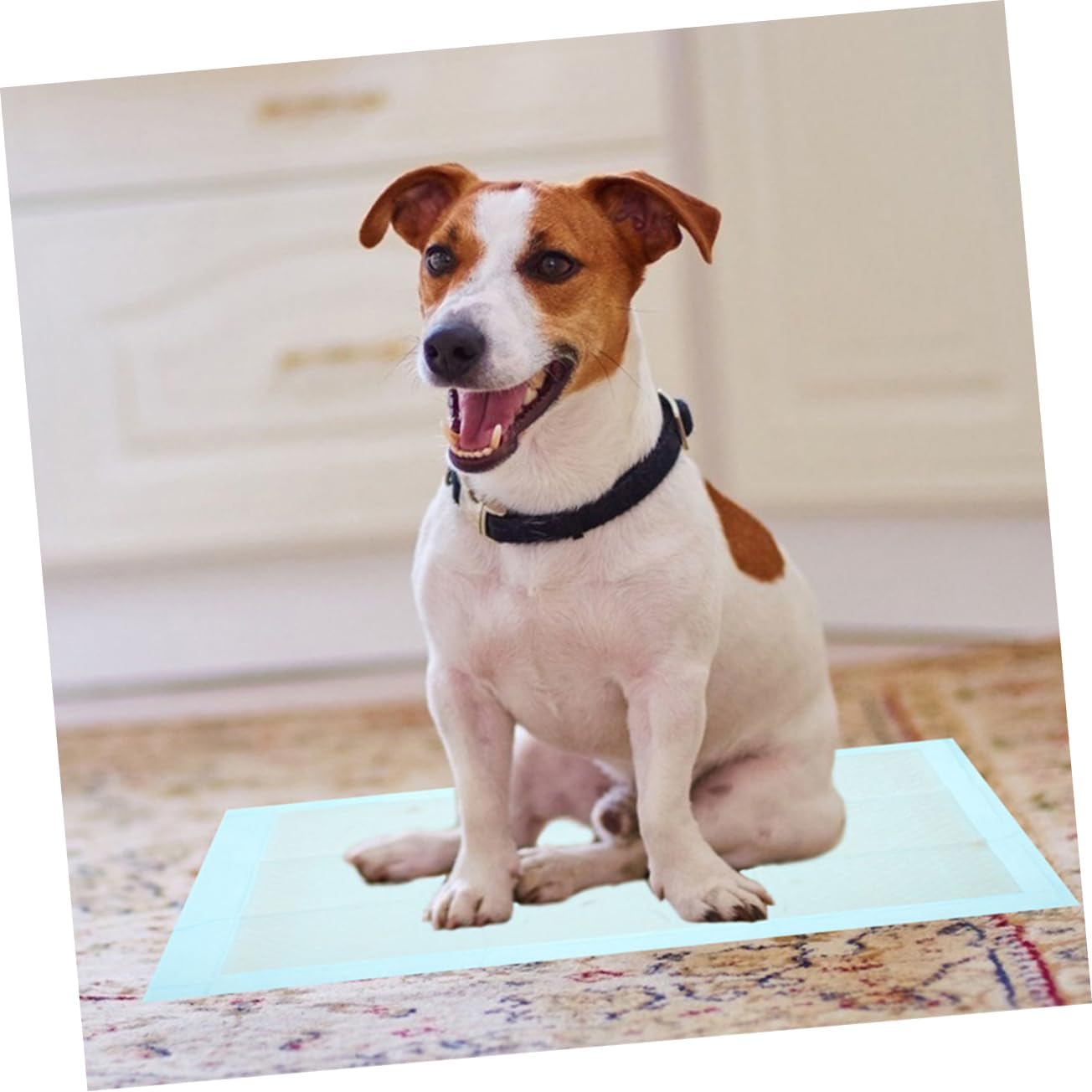 YARNOW Puppy Training Pads 100pcs Washable Puppy Pads for Dogs Super Absorbent Indoor Use Girl