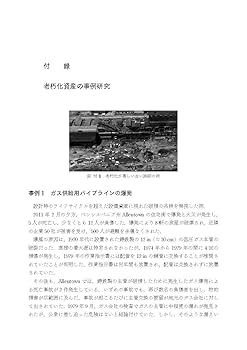 化学物質・プラント 事故事例ハンドブック Amazon.co.jp: 化学物質・プラント事故事例ハンドブック : 田村