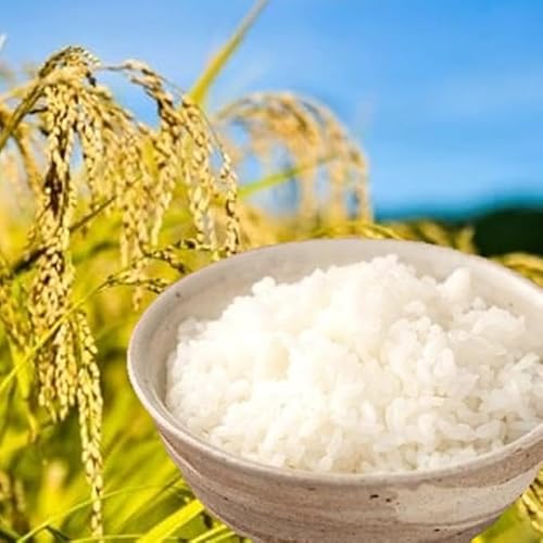 [ふるさと納税]令和7年産・新米 南小国町産のお米あきげしき 2kg/4kg/10kg 南小国産 精米 玄米 米 白米 お米 ご飯 産地直送 SMO南小国 熊本 阿蘇 南小国町 (2kg)